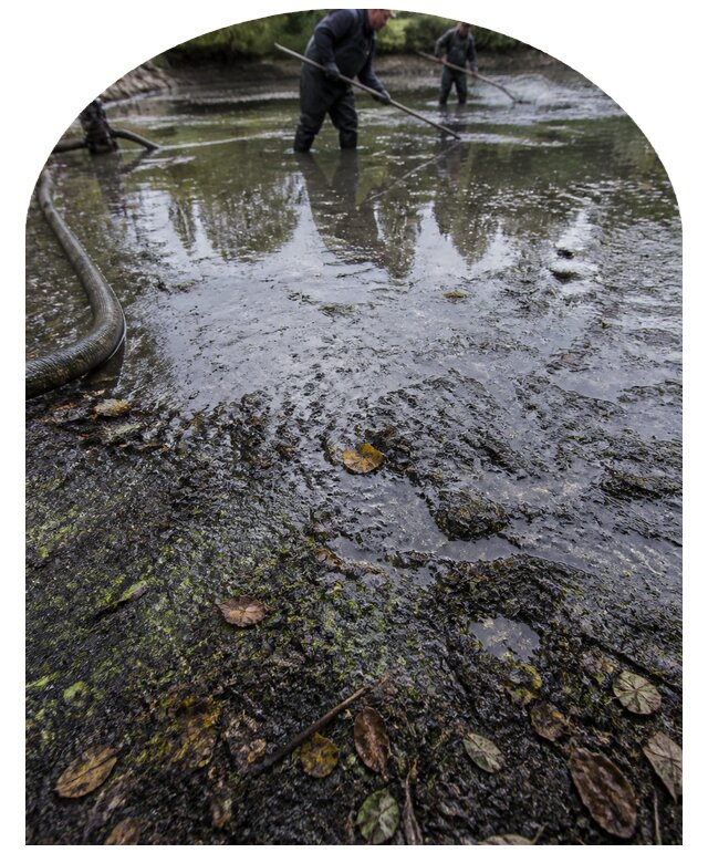 Очистка пруда в Черкесске от ила мусора и водорослей с вывозом
